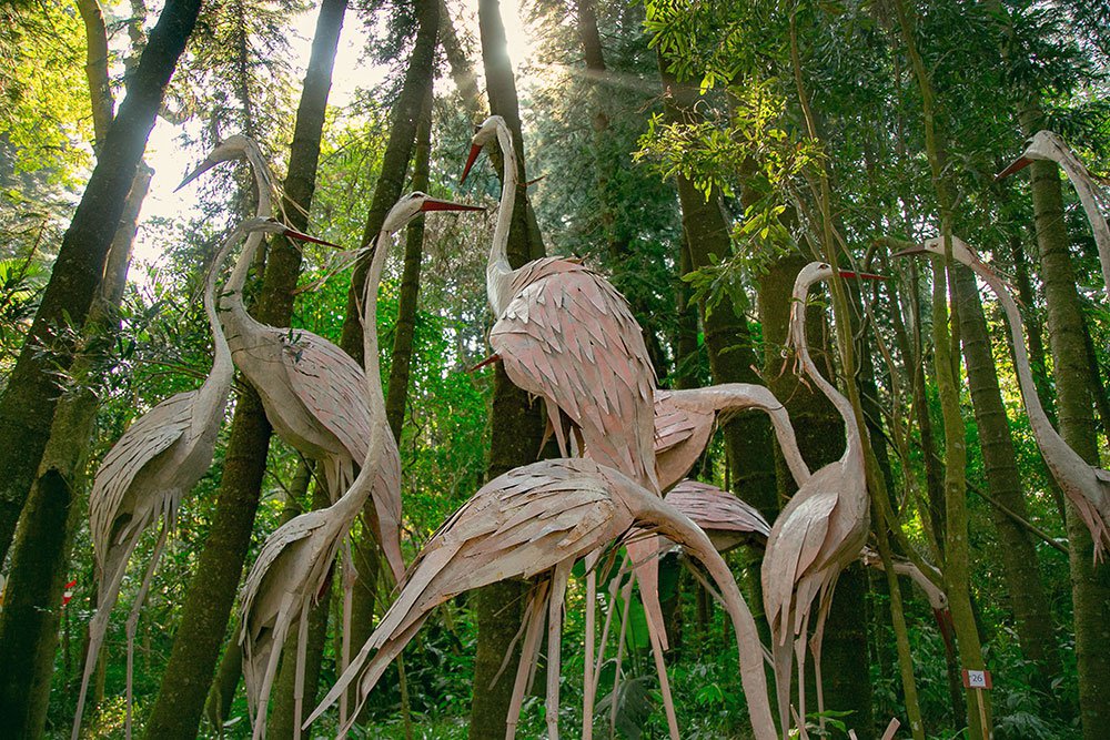 Ammazulu Gardens Flamingo