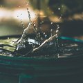 bucket o water