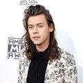 harrystyles