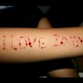 cutforzayn.png