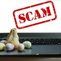 Easter scam stock image