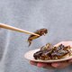 Edible insects