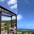 Fairways Guest House