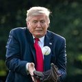 Donald Trump accident baseball