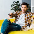Dream job alert: Get paid to watch animal movies!