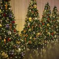 VIDEO: Viewers confused by Christmas tree cleaning video