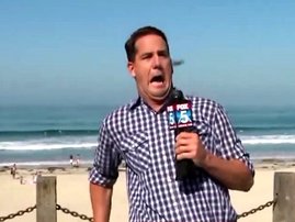 Reporter completely freaks out over a tiny bug on live TV