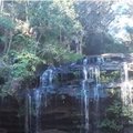 Molweni River Trail