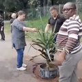 PEOPLE_PLANTING_IN_POTHOLES
