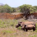 Kruger National Park invests on drone technology