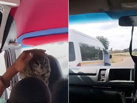 SA taxi chronicles