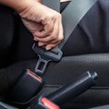 Seatbelt in car stock image