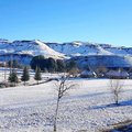 Snow on the Drakensberg Gardens