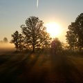 Sunrise, Sunny, Morning, Weather