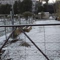 Cold weather in Eastern Cape two