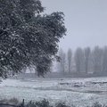 snow kzn