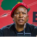 EFF leader Julius Malema Presser