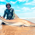 Dean Reddy with a beautiful blacktip shark caught off the north coast