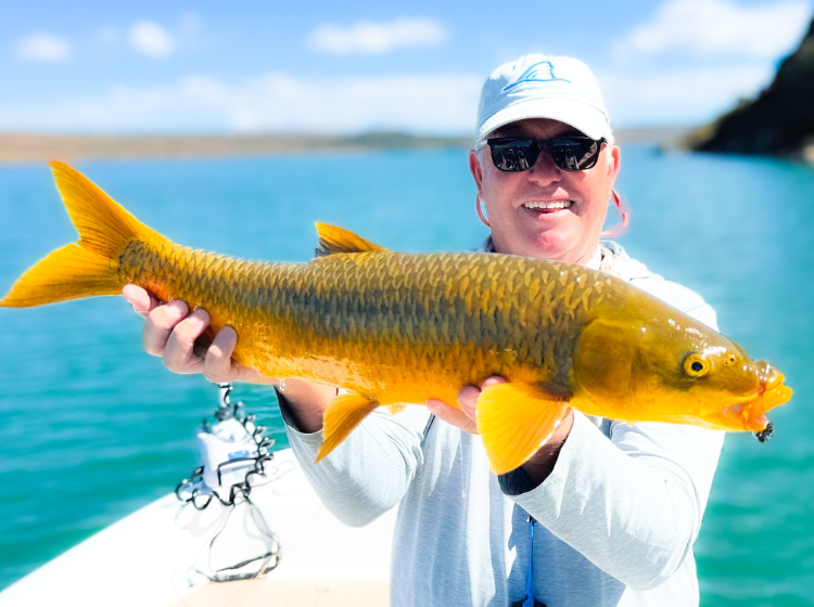 Peter Whittaker with a huge smallmouth yellowfish caught at Sterkfontein dam