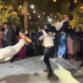 A bride and groom attempt a helicopter dance with a third person at a wedding