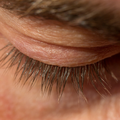 A close up of male eyelashes