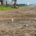 A construction vehicle on the Durban beach