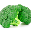 A fresh broccoli on white background
