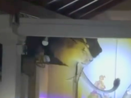 A lioness creeps into a family home in India