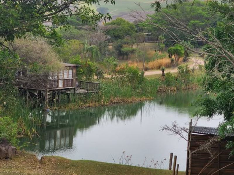 A luxury tree top accommodation in Umhlali