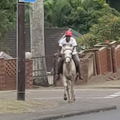 A man rides his horse in Newlands Durban