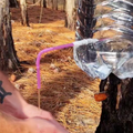 A man washing his hands using a makeshift water tap