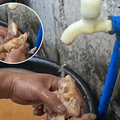 A woman cleans leftover chicken she rummaged from the garbage under a tap