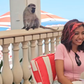 A young girl dining at The Oyster Box while a monkey watches