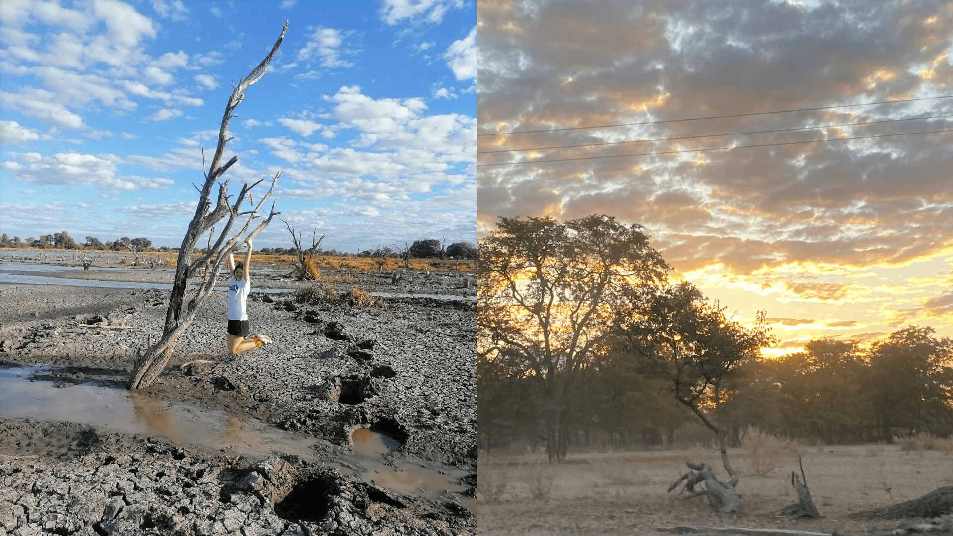 Botswana 4 - Wild