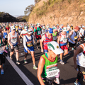 Comrades Marathon 25