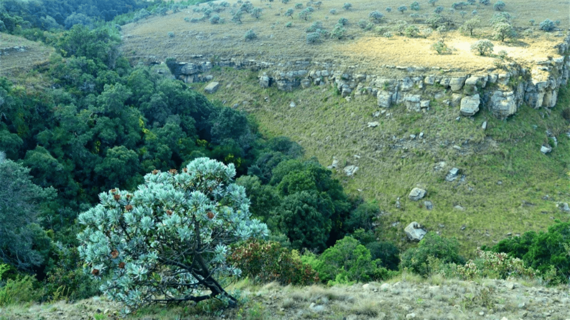 Drakensberg Mountain Retreat 2