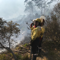 Firefighters