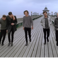 One Direction members walking on a pier