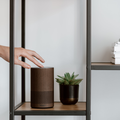 Person holding a brown speaker
