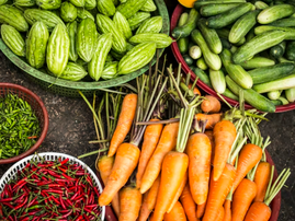 AGRICULTURE FARMING SOUTH AFRICA