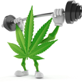 Would you like to get paid for exercising while stoned?