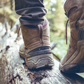 hiking boots close-up. girl tourist steps on a log"n