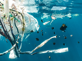 SUSTAINABILITY