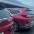 Two maroon vehicles parked next to one another