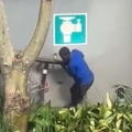 Two men illegally remove a steel water pipe from a fitting on a building