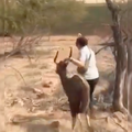 woman holding animal by the ear