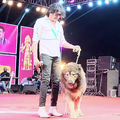 VIDEO: World's most expensive dog sells for R103 million